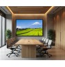 Monitor JAPANNEXT 139.7cm JN-IPS550UHD60F