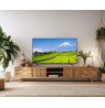 Monitor JAPANNEXT 139.7cm JN-IPS550UHD60F
