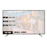 Monitor JAPANNEXT 139.7cm JN-IPS550UHD60F