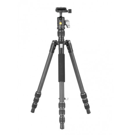 Vanguard Vesta GO 204CB