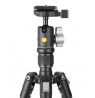 Vanguard Vesta GO 204CB