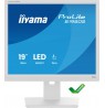 iiyama ProLite B1980S-W1 computer monitor 48.3 cm (19") 1280 x 1024 pixels SVGA LED White