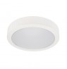 CEILING LED LIGHT FARO 3000K D49.5CM WH