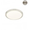 Ceiling Lamp LED 50CM 45W DIM