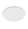 Philips Valen Ceiling Light 22W