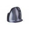 BakkerElkhuizen Evoluent D Mouse, vertical