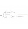 Mouse for right-handed 5 buttons