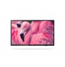 Hotel TV PHILIPS 43HFL4014/12 108.0 cm (43")
