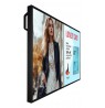 Philips 6000 series 50BDL6017P Digital signage flat panel 125.7 cm (49.5") LCD 800 cd/m2 4K Ultra HD Black Built-in processor