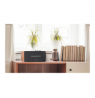 Edifier | Small Powered Speaker | D12 | Bluetooth | Wireless connection