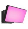 Philips Hue WCA Discover Outdoor Floodlight | 2000-6500 Hue White Colour Ambiance