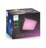 Philips Hue WCA Discover Outdoor Floodlight | 2000-6500 Hue White Colour Ambiance