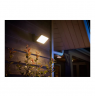 Philips Hue WCA Discover Outdoor Floodlight | 2000-6500 Hue White Colour Ambiance