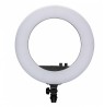 NANLITE Halo 18 LED Ring Light with carrying bag