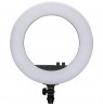 NANLITE Halo 18 LED Ring Light with carrying bag