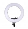 NANLITE Halo 18 LED Ring Light with carrying bag