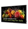 PHILIPS D-Line 32BDL5050D    81,3cm(32") 24/7/FHD/Android14