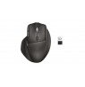 HP Ultra-Fast-Scroll Wireless Mouse 780M