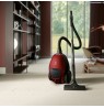 Electrolux PD82-ANIMA 3.5 L Cylinder vacuum Dry 600 W Dust bag
