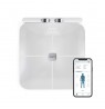 Salter SA00755WFEU6 Body Insight Smart Scale, White