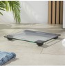 Salter SA00078BCFEU12 Clear Electronic Glass Scale
