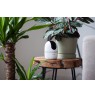 Imou A1 4MP Spherical IP security camera Indoor 2560 x 1440 pixels Ceiling/wall