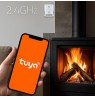 Qoltec 52651 Natural Gas Leak Sensor | CH4 detector | NG | Tuya | Wi-Fi | 85dB alarm | LED