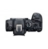 Canon EOS R6 Mark II + RF 24-105mm F4 L IS USM