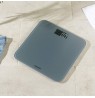 Salter SA00600GCFEU12 Brushed Finish Electronic Scale