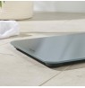Salter SA00600GCFEU12 Brushed Finish Electronic Scale