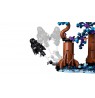 LEGO HARRY POTTER 76475 Forbidden Forest - Expecto Patronum