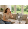 BLOW 12"/30cm 50W Silver Metal Desk Fan