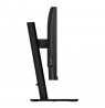 Philips 80,0cm (31,5") 32B2N3500  16:09 2xHDMI+DP+USB black