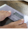 Cecotec Bathroom Scales | Surface Precision Healthy | Maximum weight (capacity) 180 | Grey/Transparent
