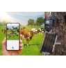 Outdoor dual camera 4G 3MP+3MP + solar panel
