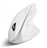 Perixx PERIMICE-813 W Wireless Mouse Optical Vertical Vertical Right White RF+ BLUETOOTH
