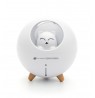 Rio Aroma Difuser, Humidifier & Night Llight