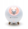 Rio Aroma Difuser, Humidifier & Night Llight