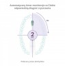 TrueLife SonicBrush Clean30 White Adult Oscillating toothbrush