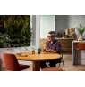 LEGO 10373 Botanical Collection - Small Bonsai Trees