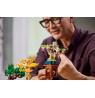 LEGO 10373 Botanical Collection - Small Bonsai Trees