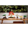 LEGO 10373 Botanical Collection - Small Bonsai Trees