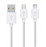 Rio USB Teeth Whitening