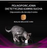 PURINA Pro Plan Veterinary Diets Feline UR St/Ox Urinary - dry cat food - 1,5kg