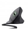 Trust GXT 144 Rexx mouse Gaming Right-hand USB Type-A Optical 10000 DPI