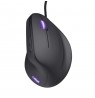 Trust GXT 144 Rexx mouse Gaming Right-hand USB Type-A Optical 10000 DPI