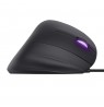 Trust GXT 144 Rexx mouse Gaming Right-hand USB Type-A Optical 10000 DPI