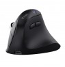 Trust Vyran mouse Universal Right-hand RF Wireless + Bluetooth Optical 4800 DPI