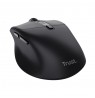 Trust Zevo mouse Universal Right-hand RF Wireless + Bluetooth Optical 4000 DPI