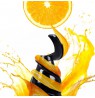 ELDOM PJ350 SLOW JUICER 250W